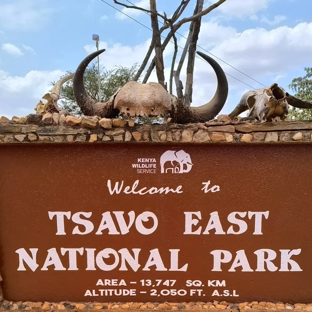 4-Day Tsavo West & East Expedition