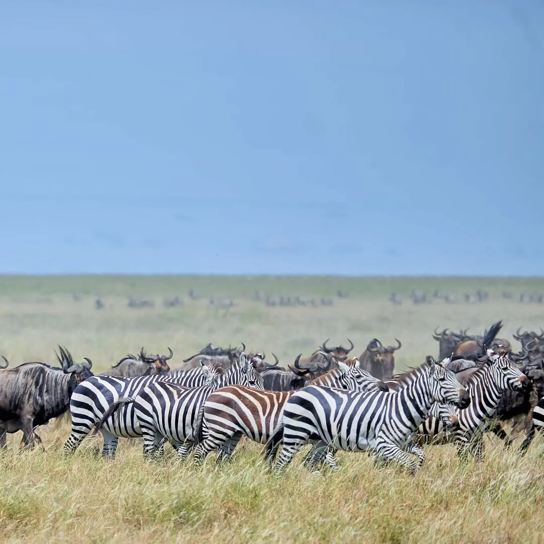 Serengeti National Park