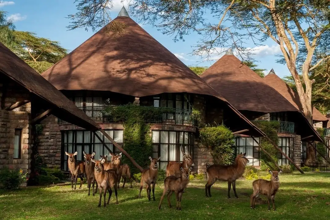 Lake Naivasha Sopa Resort