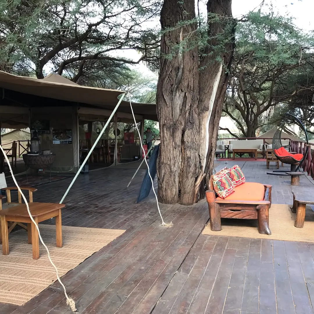 Elephant Bedroom Camp