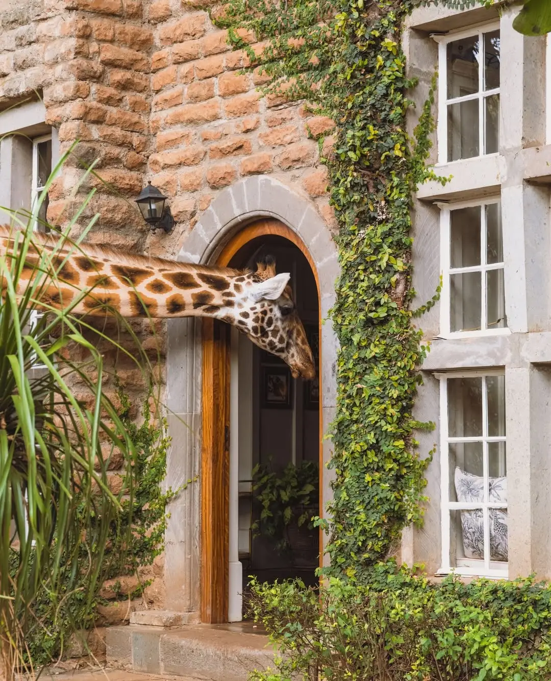 Giraffe Manor (The Safari Collection)