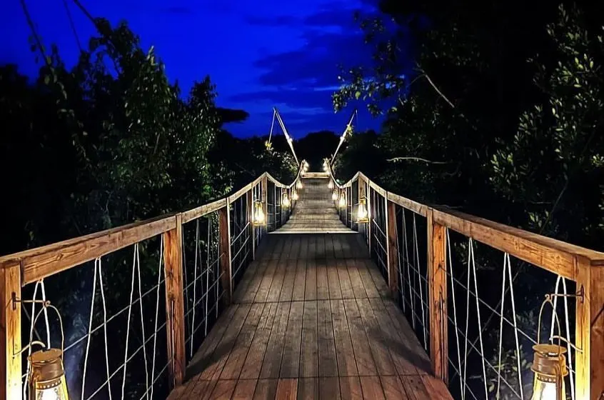 4-Day JW Marriott Mara Scenic Drive & Fly-Back Expedition