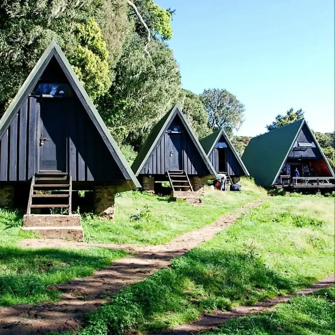 5-Day Kilimanjaro Marangu 'Coca-Cola' Route