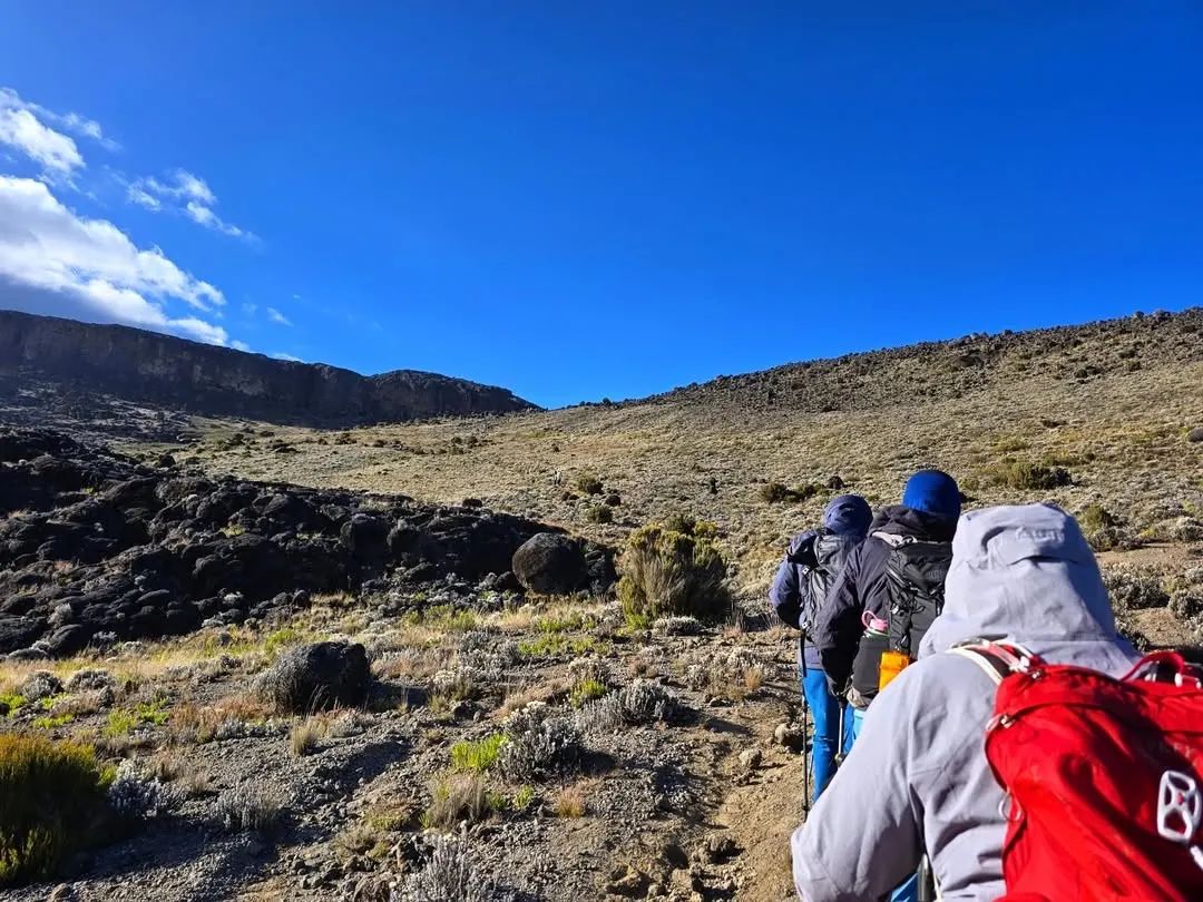 7-Day Kilimanjaro Lemosho Route