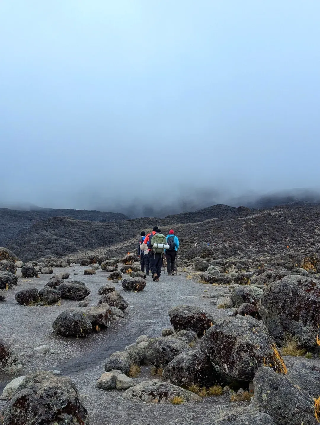 8-Day Kilimanjaro Northern Circuit