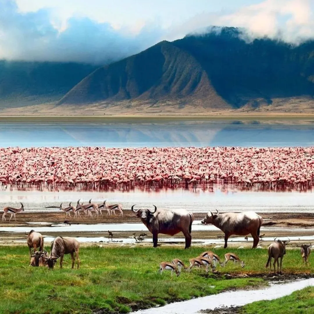 Lake Manyara National Park