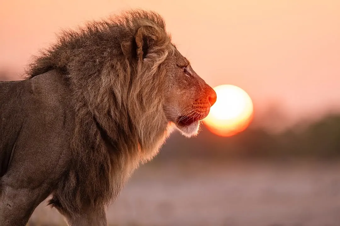 Hwange National Park