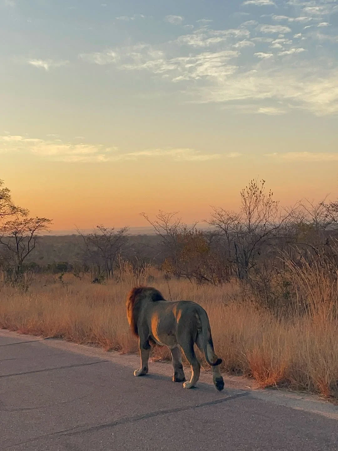 Kruger National Park