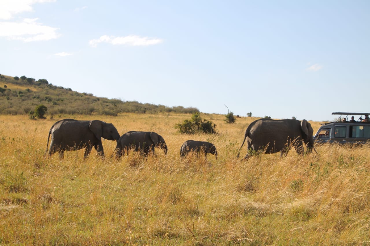 7-Day Kenya Budget Safari in 4x4 Jeep