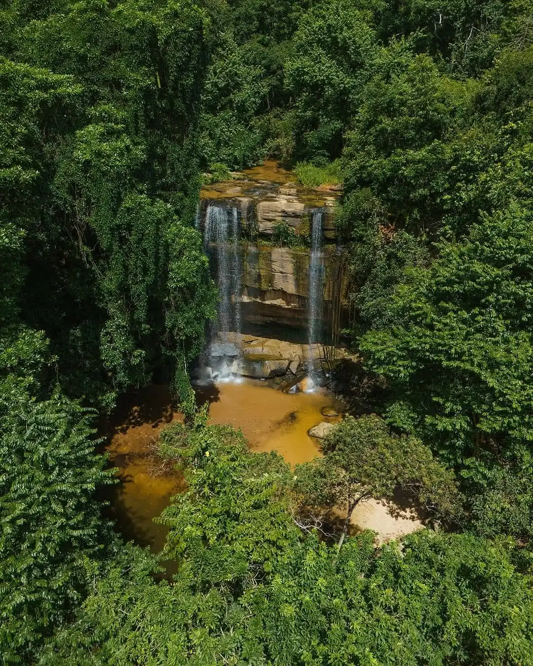 Shimba Hills National Reserve