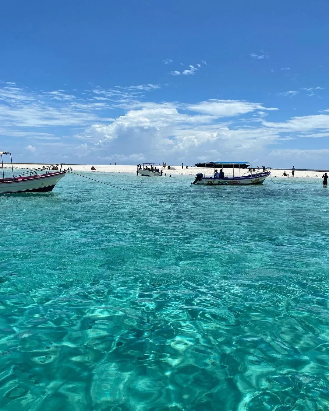 Kisite-Mpunguti Marine National Park