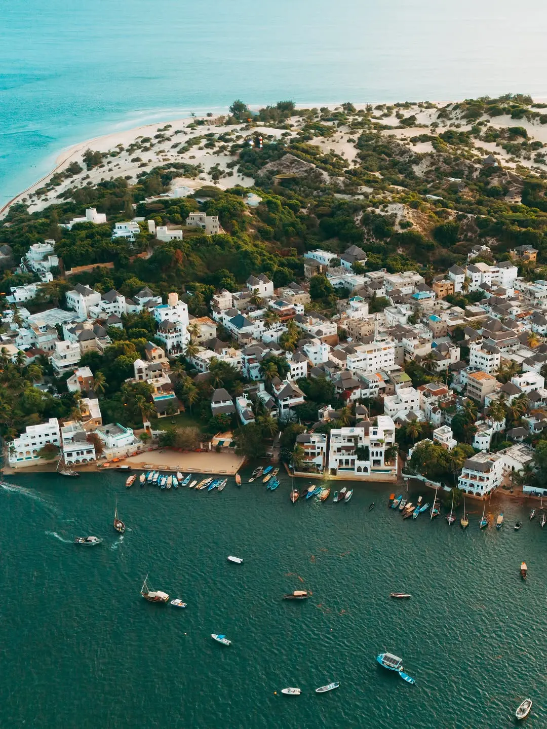 Lamu Island & Old Town