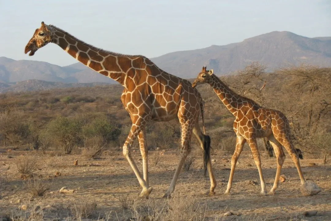 iSimangaliso Wetland Park