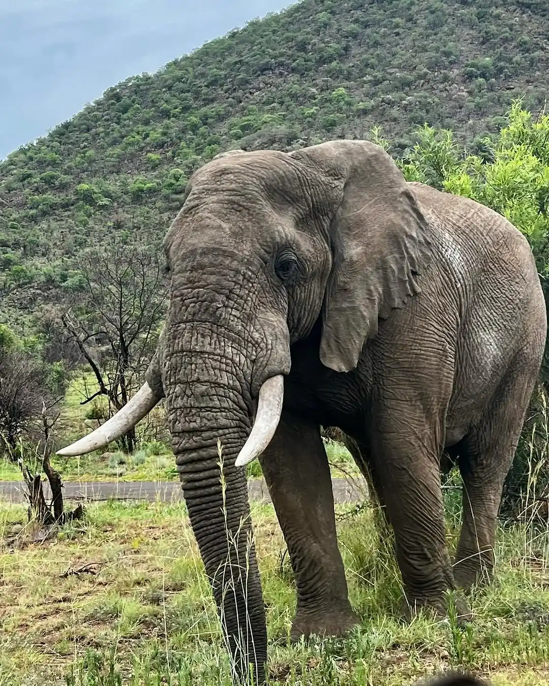 Pilanesberg National Park