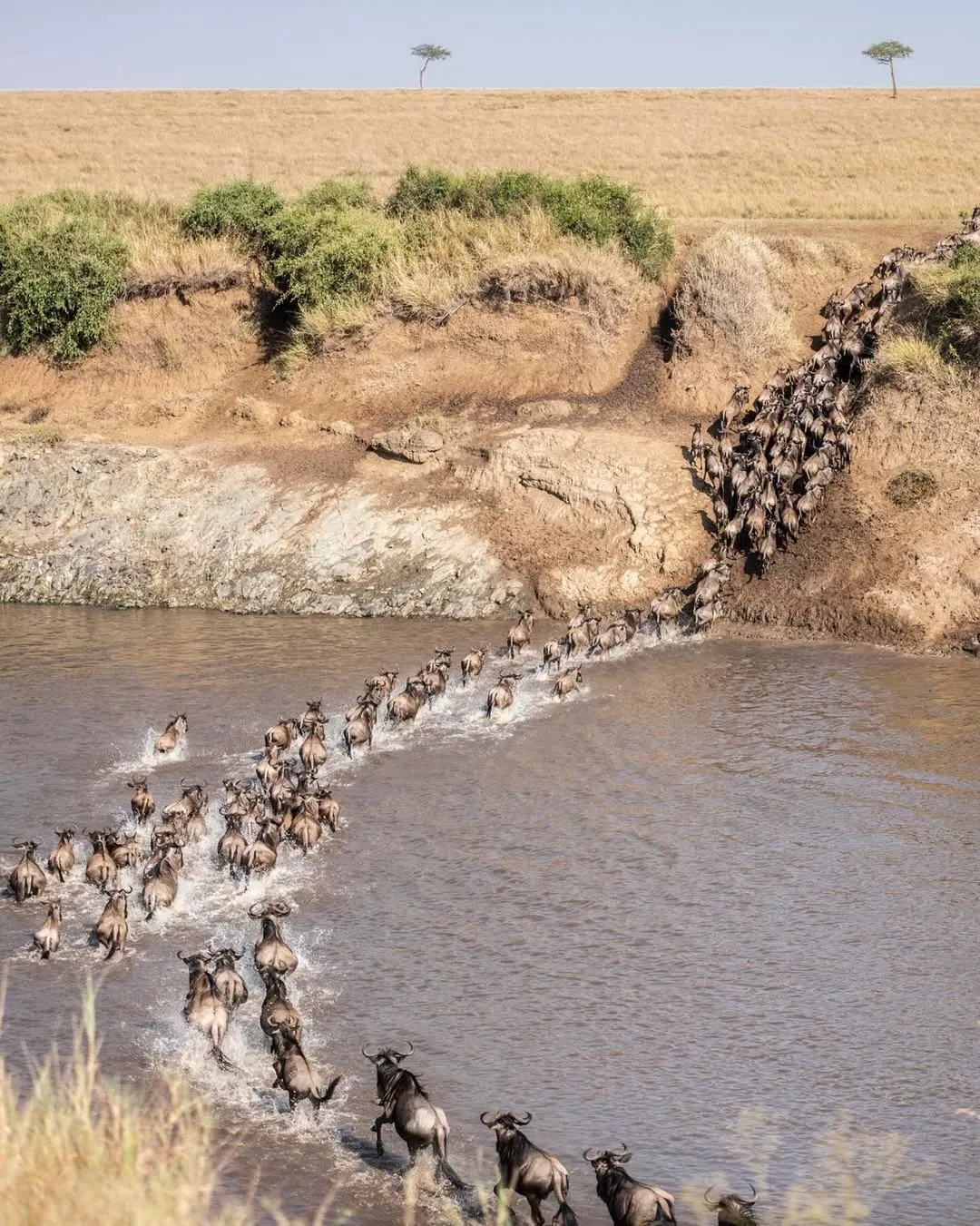 5-Day Kenya Budget Safari in 4x4 Jeep