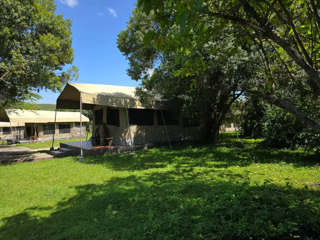 Wild Nest Mara Camp