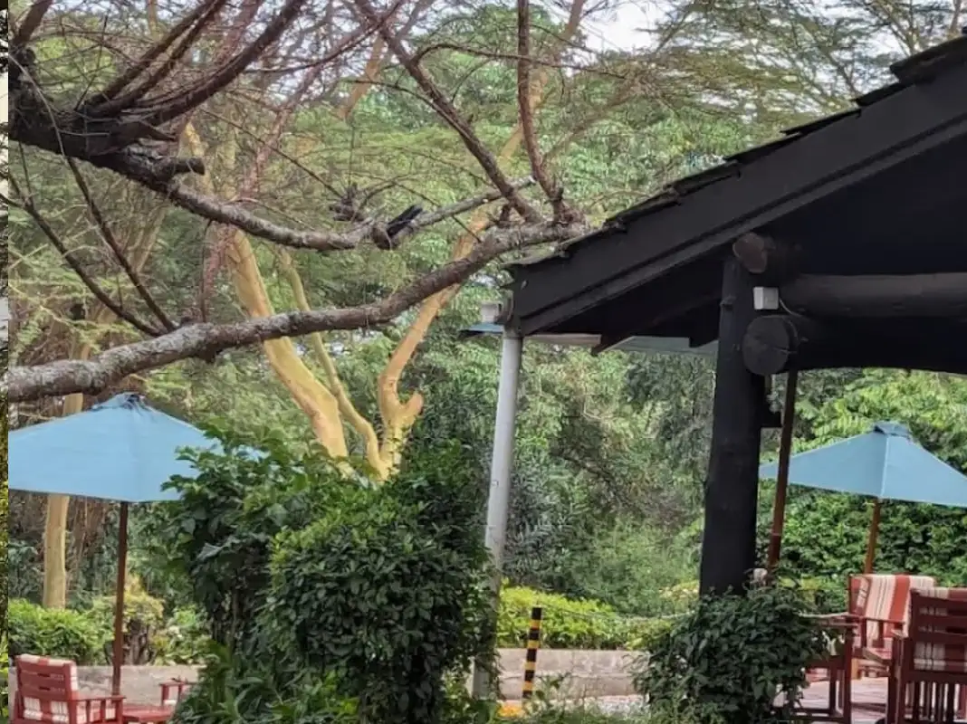 Sarova Lion Hill Game Lodge