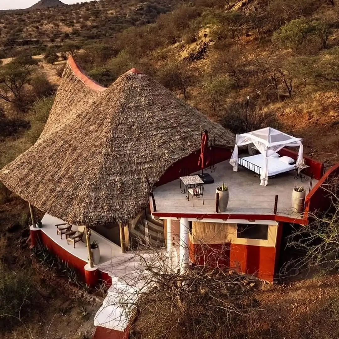 Sasaab (The Safari Collection)