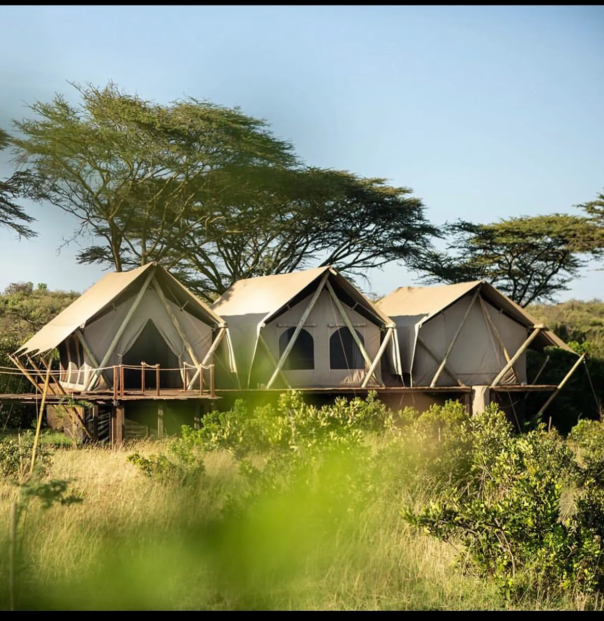 Mara Nyika Camp (Great Plains Conservation)