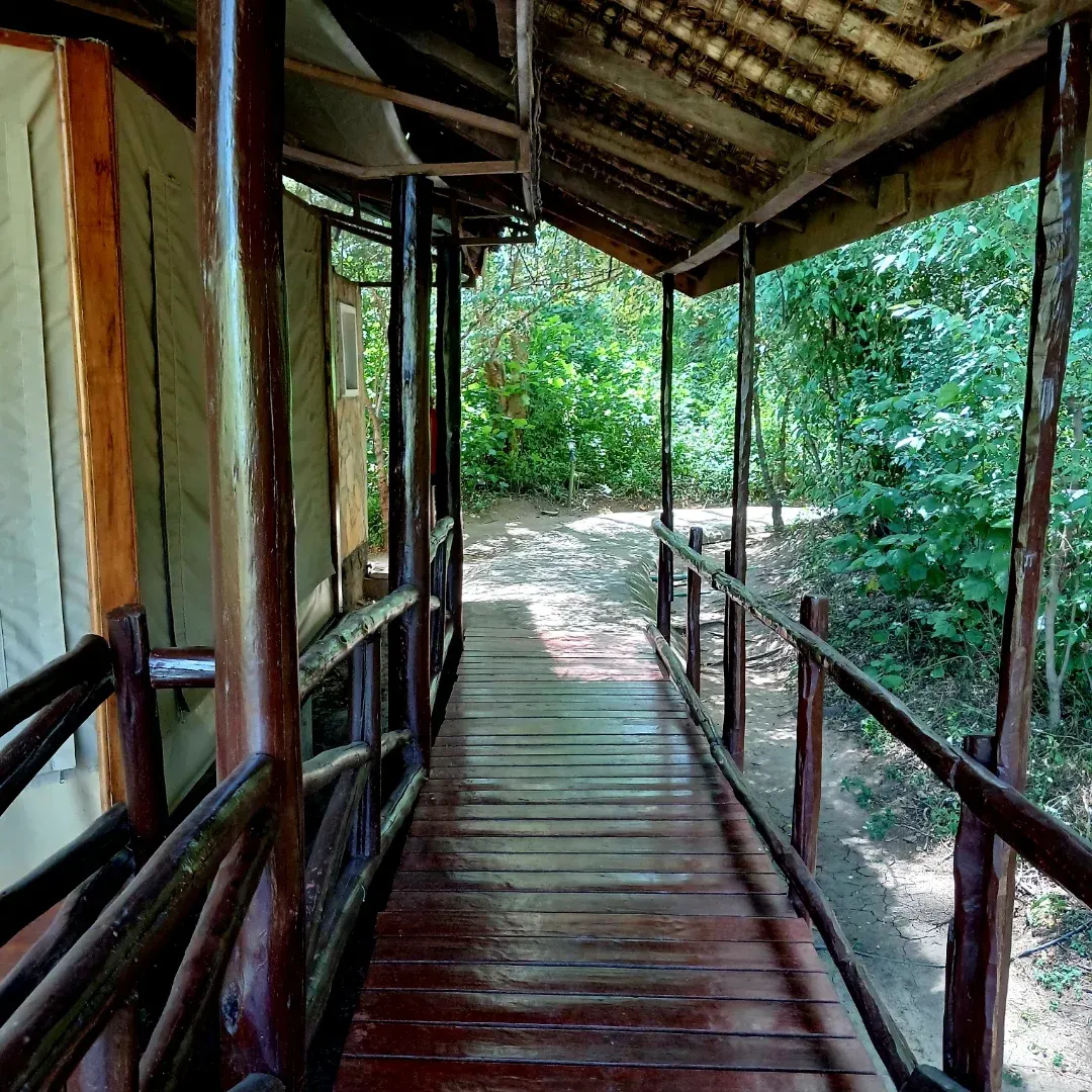 Tipilikwani Mara Camp